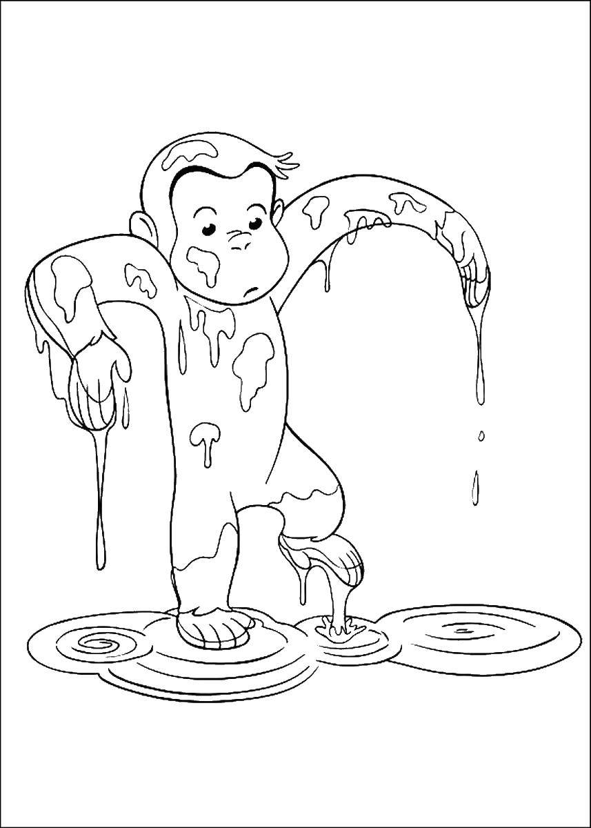 Coloring Wet monkey. Category coloring. Tags:  Cartoon character.