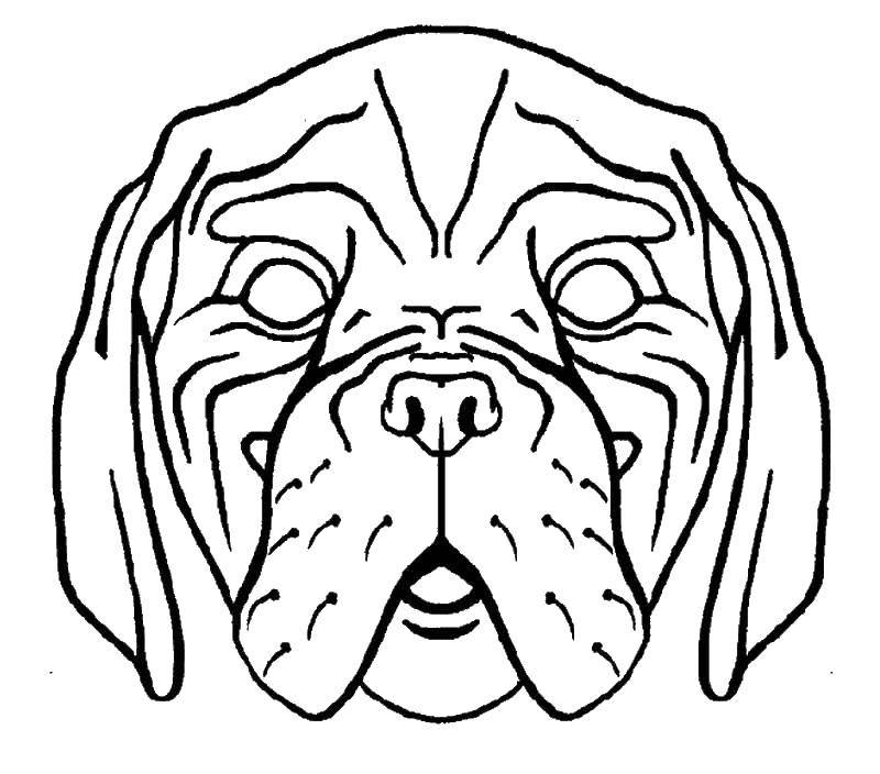 Название: Раскраска Морда собаки. Категория: домашние животные. Теги: лабрадор, морда, собака, раскраска.