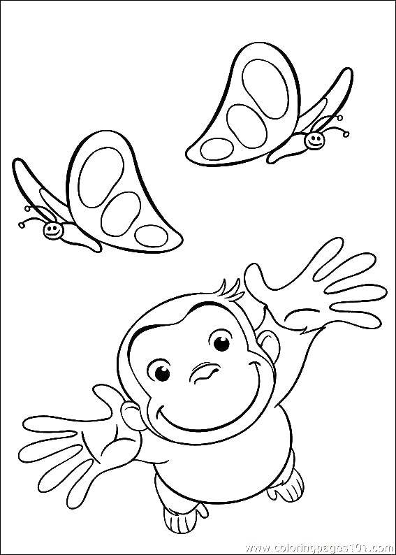 Coloring Monkey and butterfly. Category coloring. Tags:  monkey, butterfly.