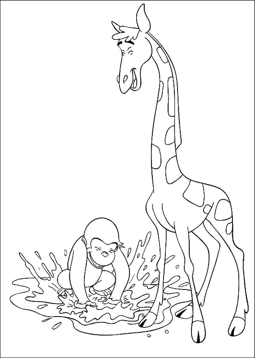 Название: Раскраска Обезьянка и жираф играют. Категория: раскраски. Теги: Персонаж из мультфильма.