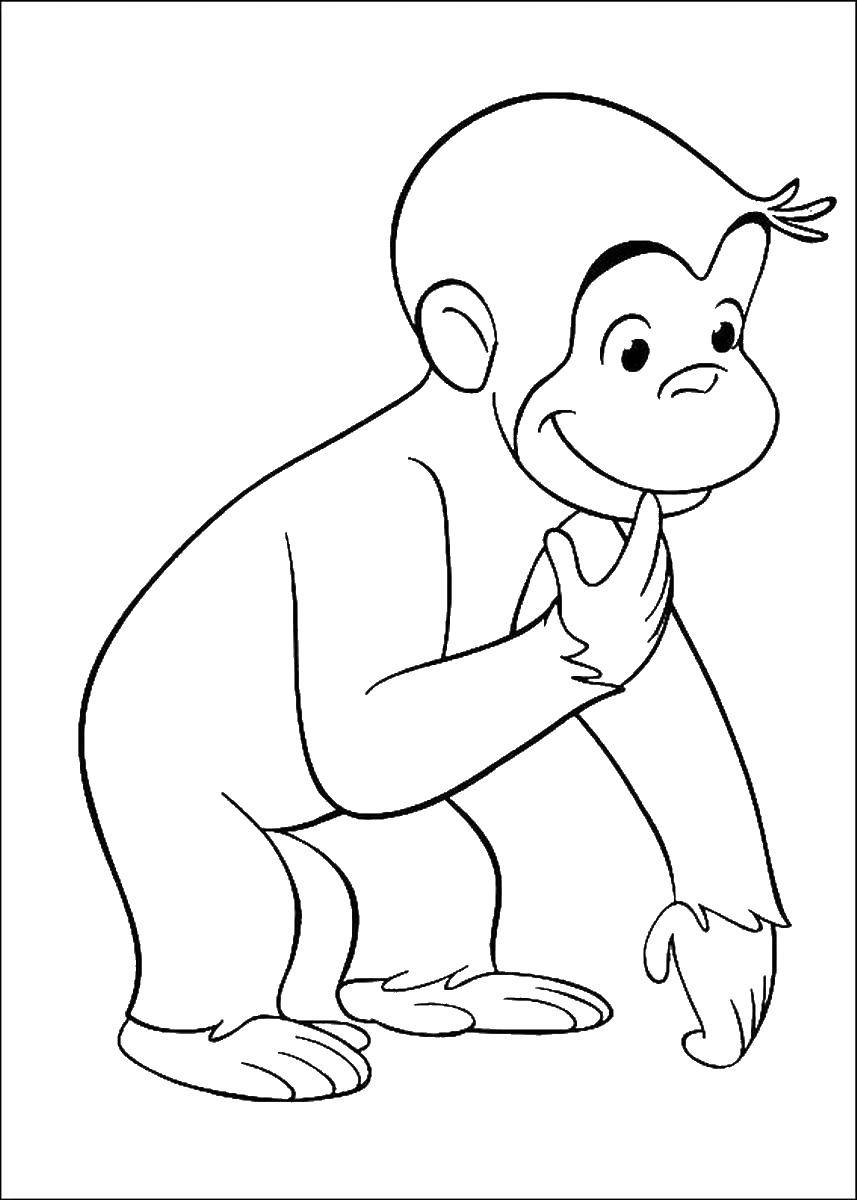 Coloring The monkey is very curious. Category coloring. Tags:  Cartoon character.
