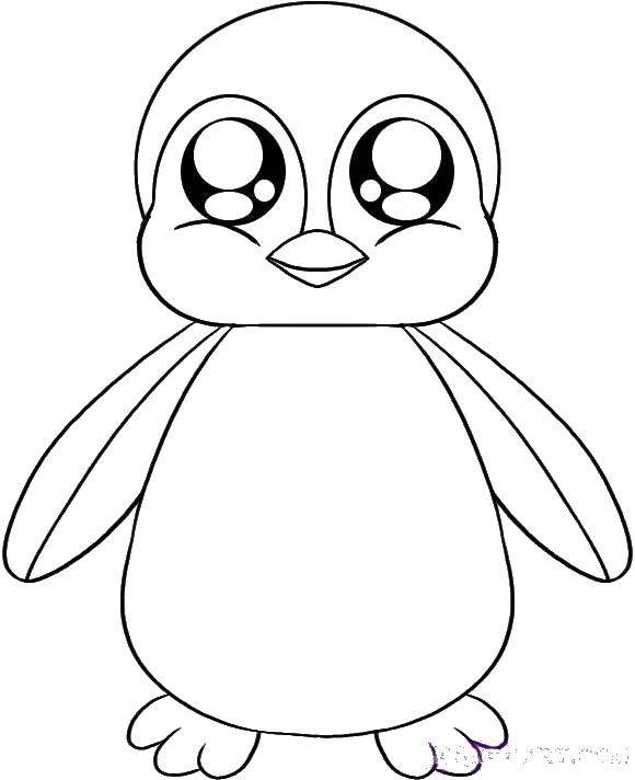 Название: Раскраска Пингвиненок с большими глазками. Категория: животные. Теги: пингвин.