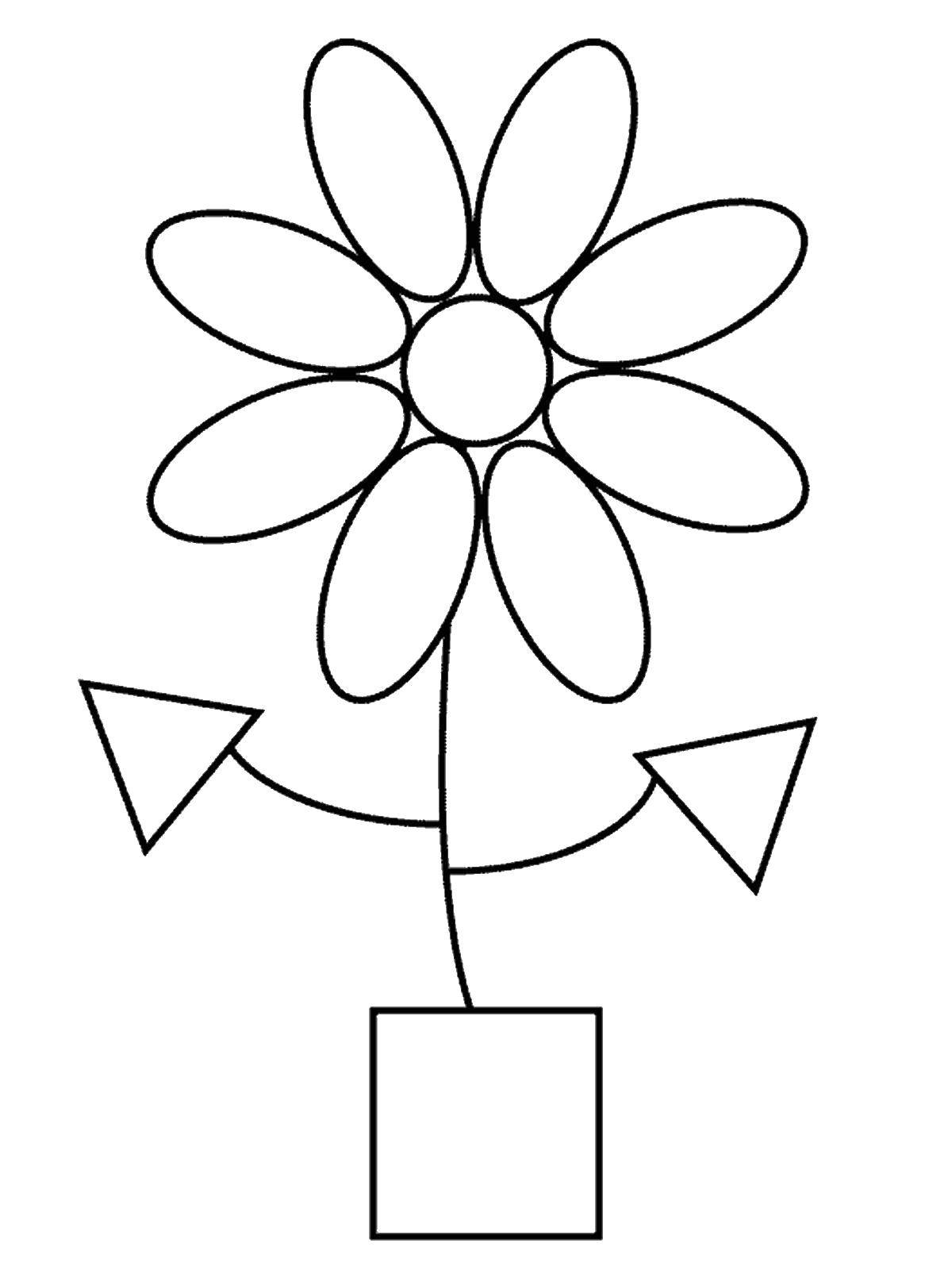Coloring Daisy figure. Category coloring of the figures. Tags:  chamomile, shapes.