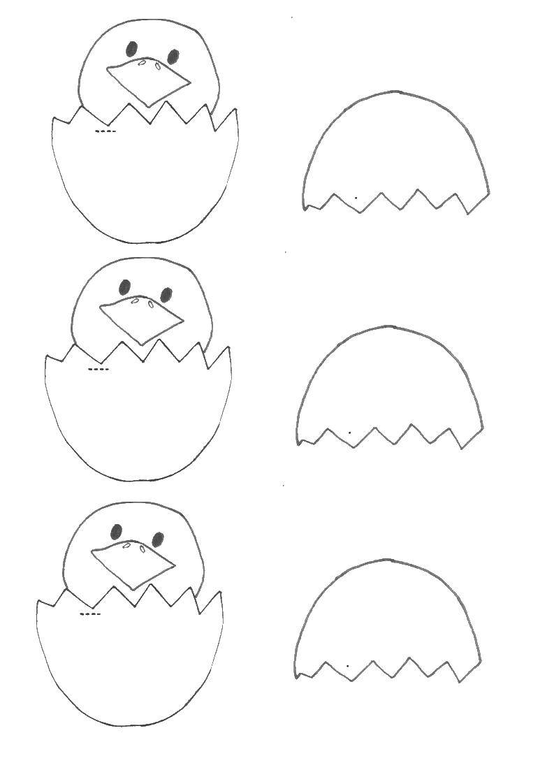 Coloring Chicks and eggshell. Category The contours for cutting out the birds. Tags:  chickens, shell.
