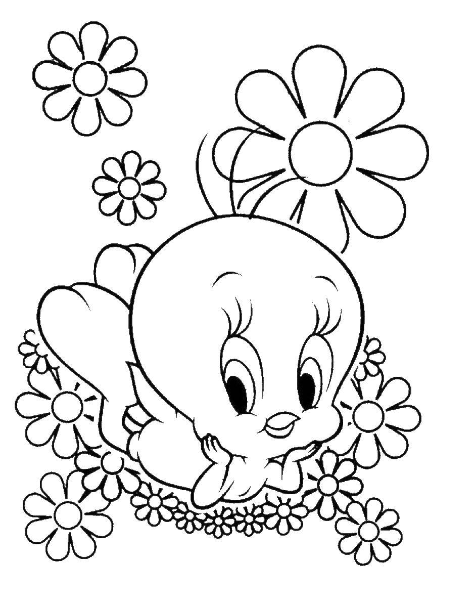 Coloring Tweety is lying on the flowers. Category cartoons. Tags:  Tweety bird, chicken.