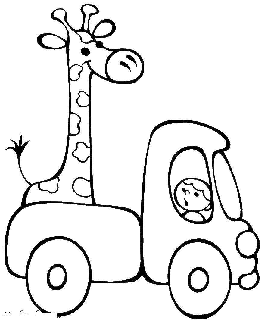 Coloring Iraw in the truck. Category Equipment. Tags:  the truck, a giraffe.