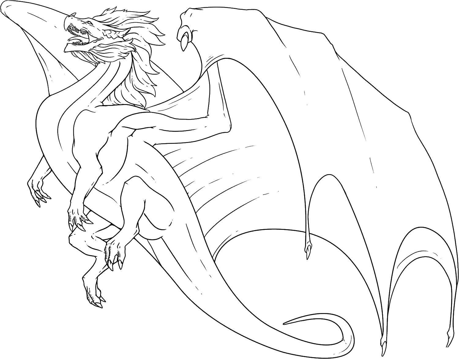 Название: Раскраска Большой летающий дракон. Категория: Драконы. Теги: драконы, дракон, крылья.