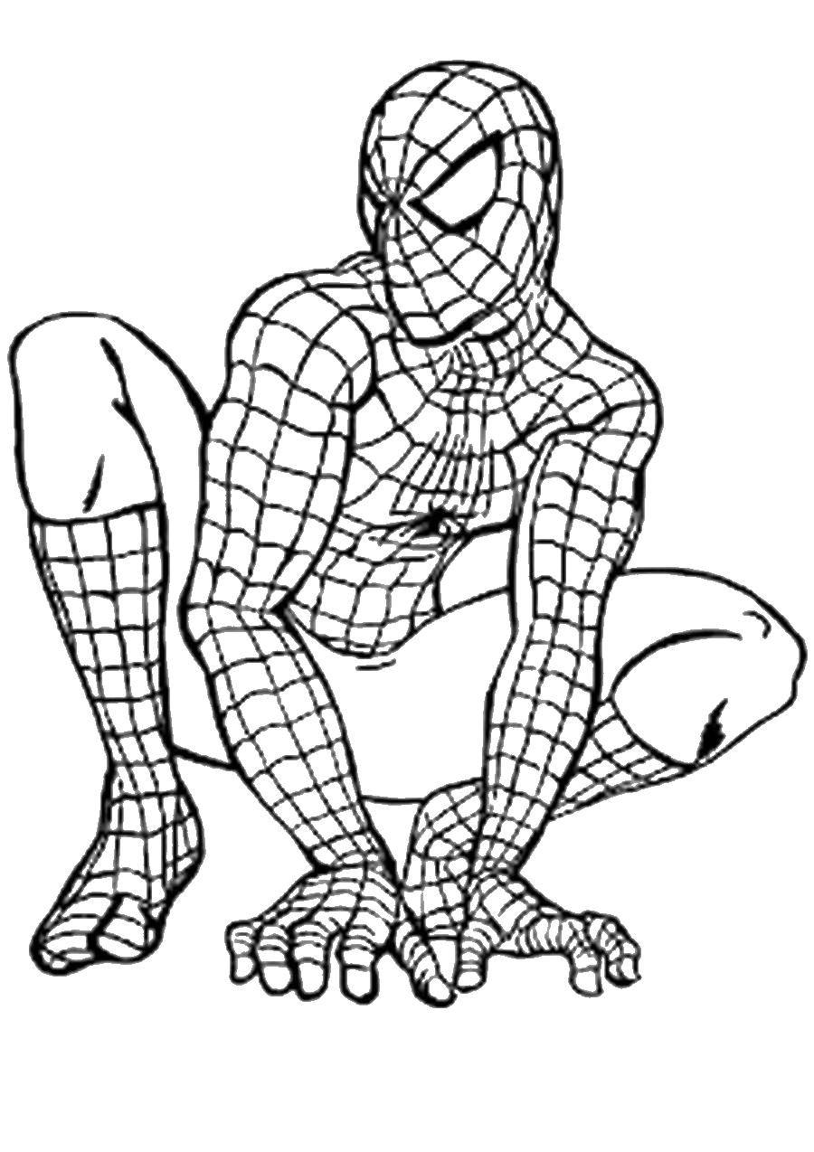 Coloring Spider-man in a suit. Category For boys . Tags:  spider man, spider web , super hero.