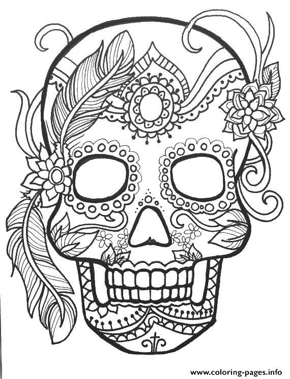 Coloring Skull with feather patterns. Category Flowers. Tags:  flowers, patterns, anti-stress, pattern, skull.