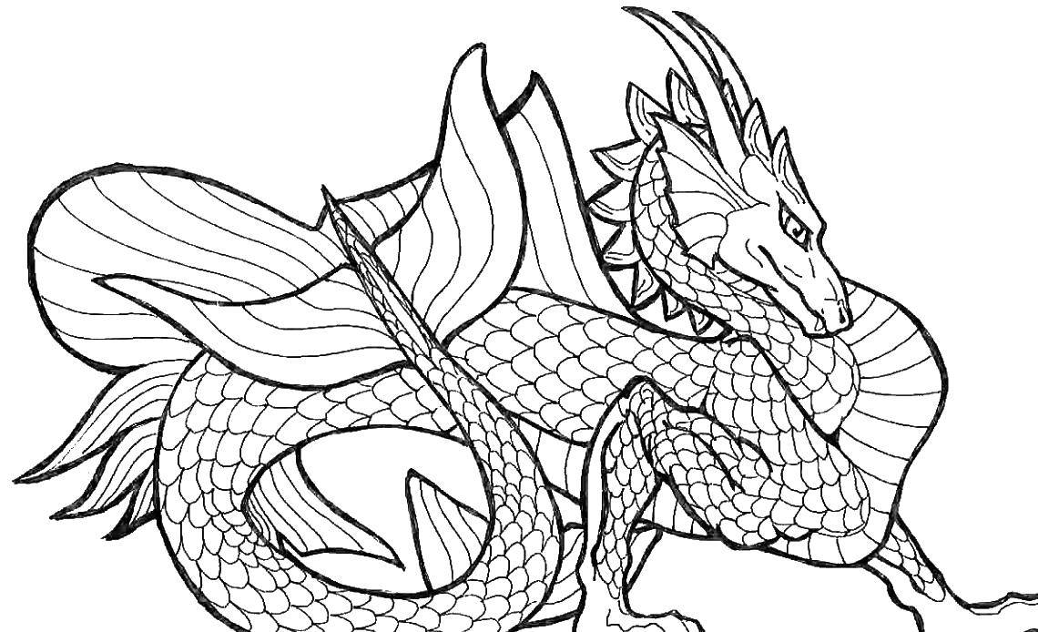 Раскраски Раскраска Длинный дракон в чешуе Драконы, скачать распечатать  раскраски.