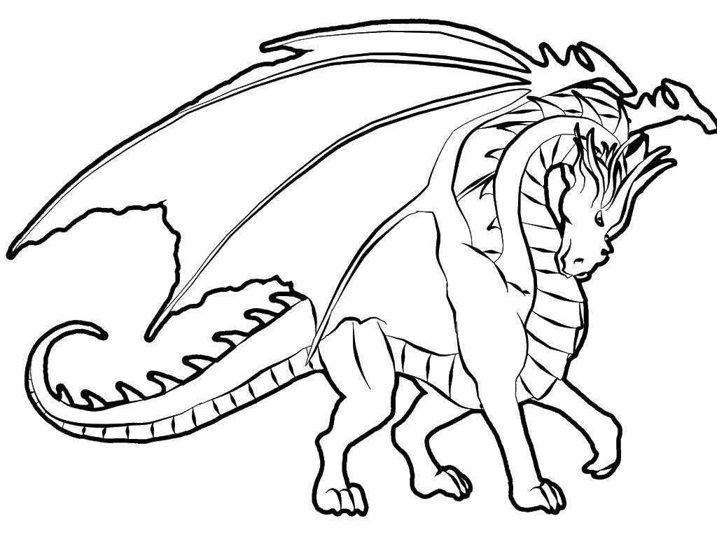 Coloring Dragon and wings. Category Dragons. Tags:  dragon, tail, wings.