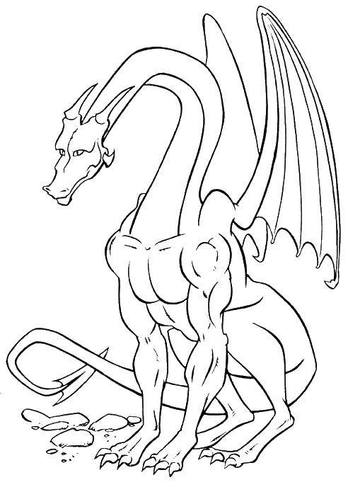 Coloring Dragon with muscles. Category Dragons. Tags:  the dragon.