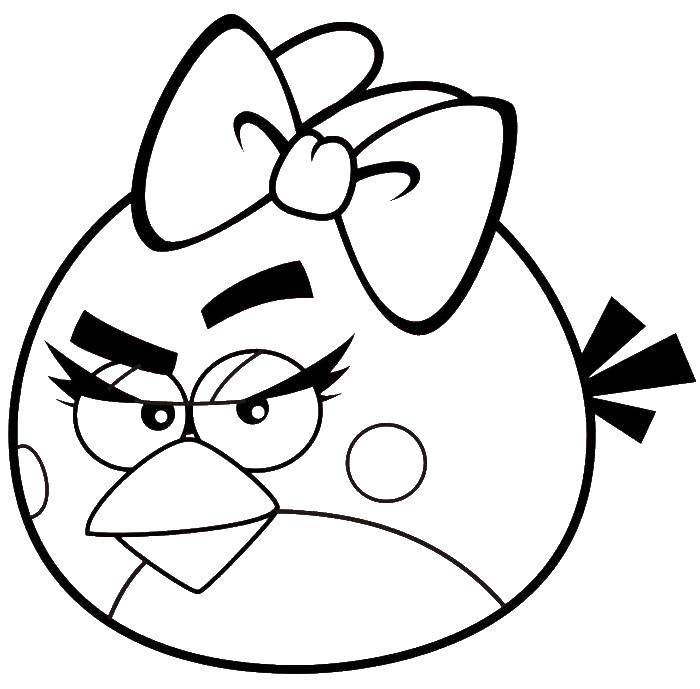 Coloring Angry birds with bow. Category angry birds. Tags:  angry birds.