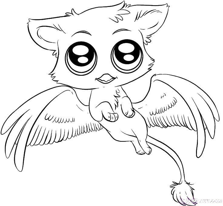 Coloring Gryphon kid. Category The magic of creation. Tags:  Griffins, animals.
