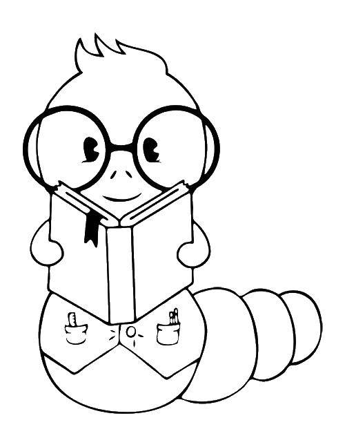Coloring The caterpillar and book. Category Insects. Tags:  caterpillar, glasses, book.