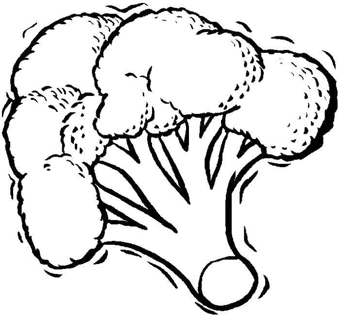 Название: Раскраска Капуста брокколи. Категория: еда. Теги: еда, капуста, брокколи, продукты.
