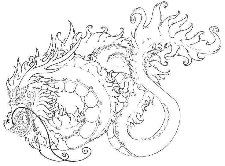 Название: Раскраска Китайский змей. Категория: Для подростков. Теги: змей, хвост, усы.