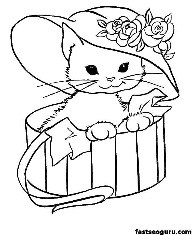 Название: Раскраска Кошечка в шляпке. Категория: Кошка. Теги: кошка, шляпа, кошечка.