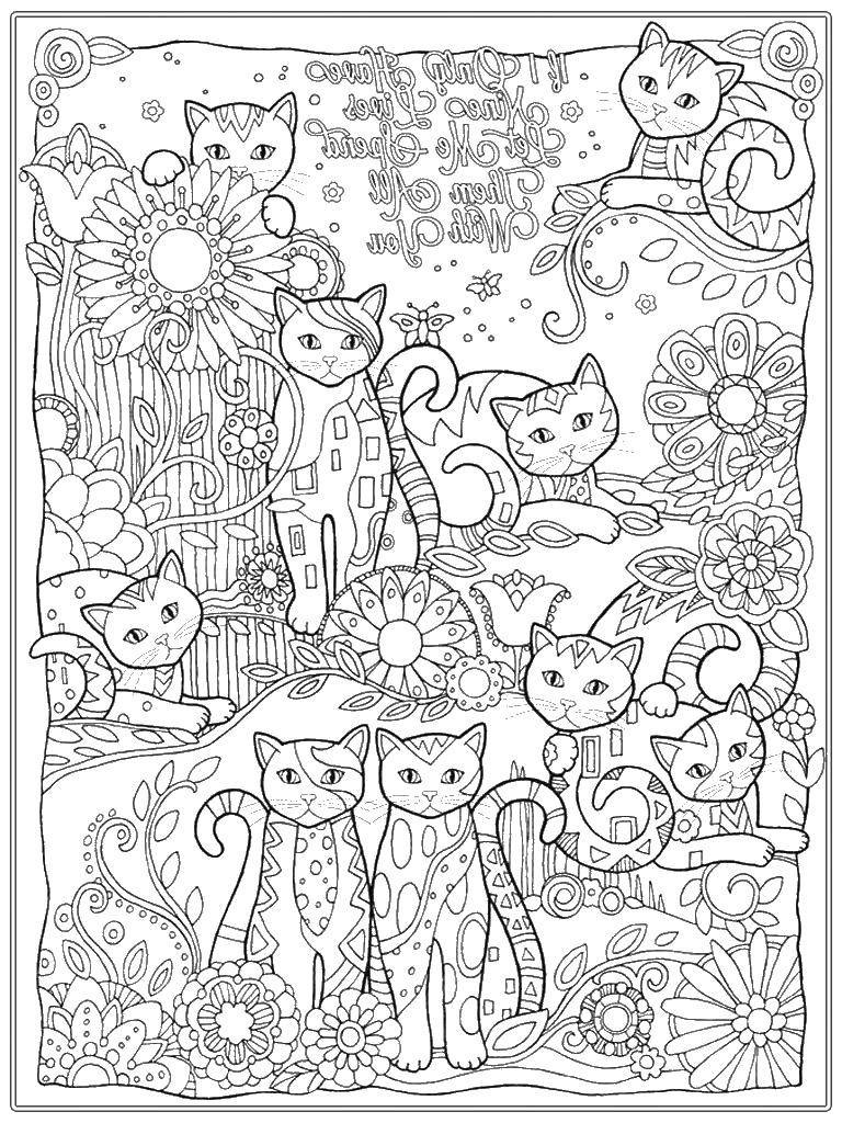 Название: Раскраска Кошки и цветы. Категория: Для подростков. Теги: кошки, цветы, узоры.