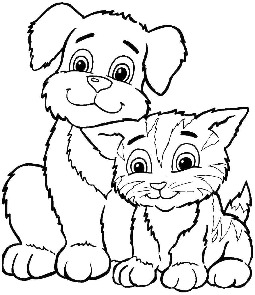 Раскраски Раскраска Котенок и щенок котята и щенки, скачать распечатать  раскраски.