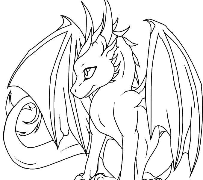 Coloring Winged dragon. Category Dragons. Tags:  dragons, wings, tale.