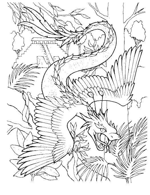 Название: Раскраска Маленький дракон с крыльями. Категория: Для подростков. Теги: дракон.