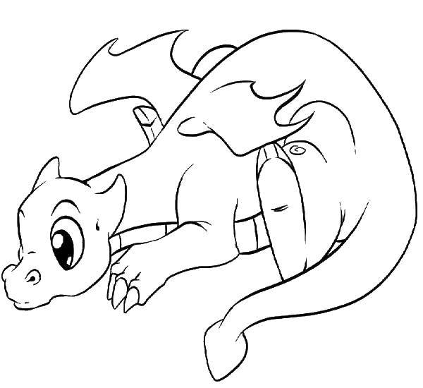 Coloring Baby dragon. Category Dragons. Tags:  the dragon.