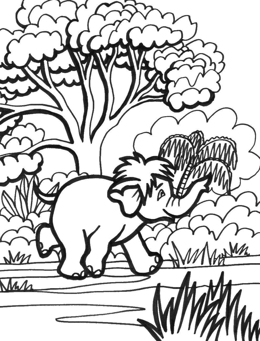 Название: Раскраска Мамонтенок бежит по лесу. Категория: животные. Теги: мамонт.