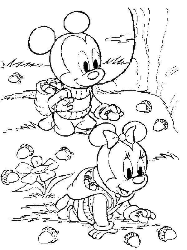 Coloring Mickey and Minnie mouse collect cones. Category Disney coloring pages. Tags:  Mickey, Minnie mouse.