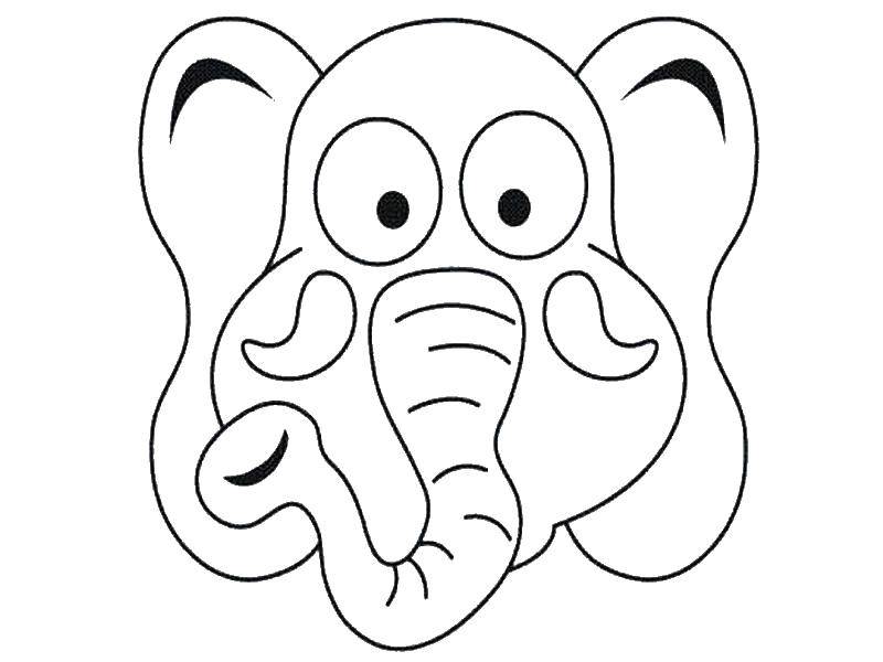 Название: Раскраска Морда  слона. Категория: дикие животные. Теги: слон, морда.