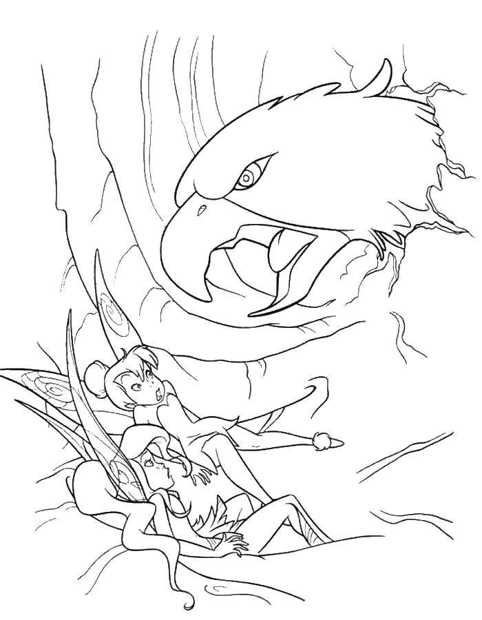 Coloring The eagle attacked Ding Ding. Category coloring pages for girls. Tags:  The eagle, the fairy Tinker bell.