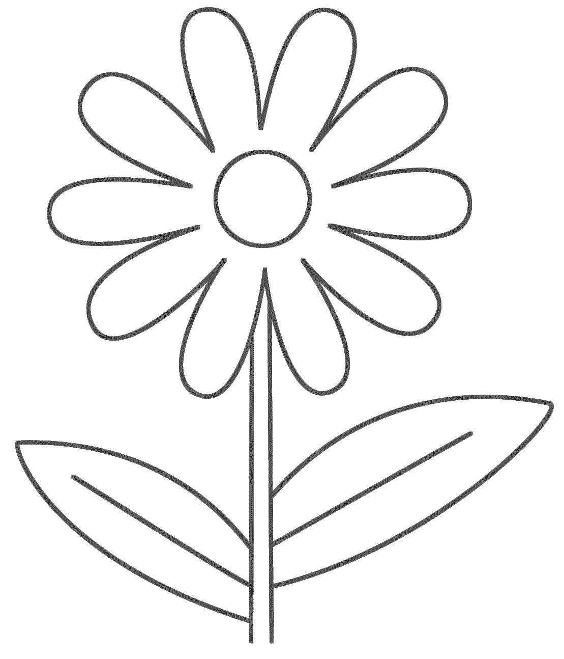 Coloring Simple flower. Category Flowers. Tags:  flowers, flowers, petals.