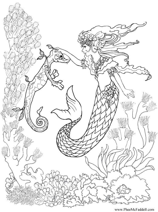 Coloring The little mermaid with a seahorse. Category The little mermaid. Tags:  the little mermaid, seahorse, sea.