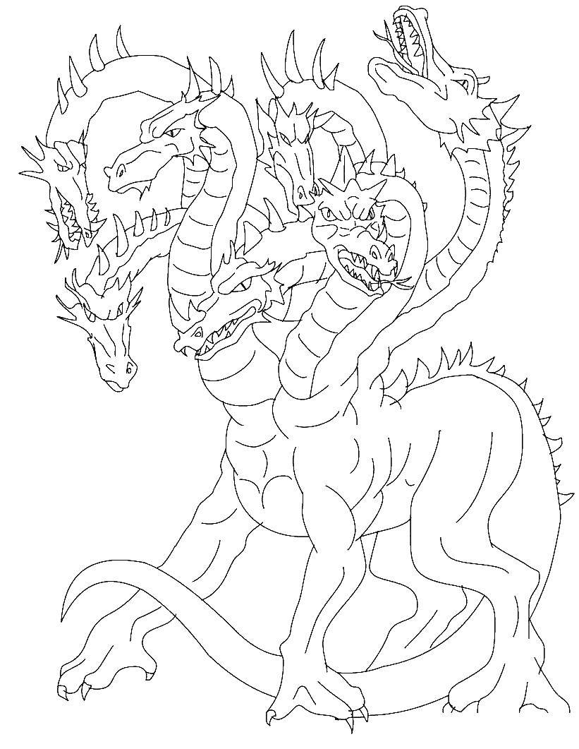 Название: Раскраска Семиголовый дракон. Категория: Драконы. Теги: дракон, огонь.