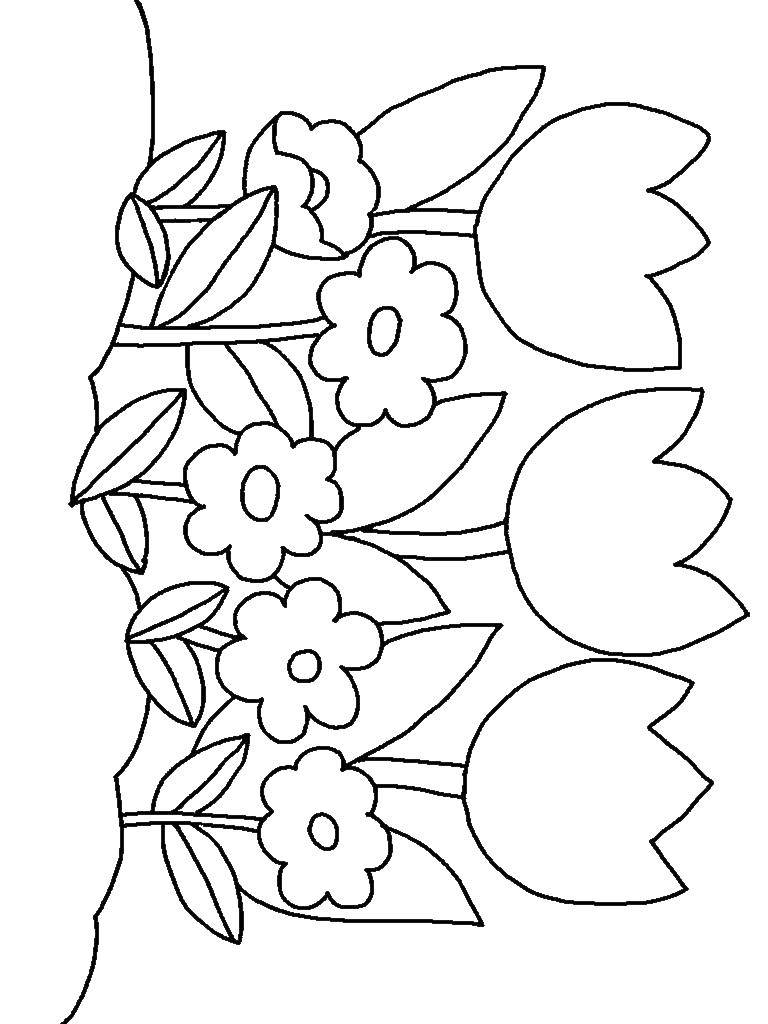 Coloring Three tulips. Category Flowers. Tags:  flowers, tulips, flowers.
