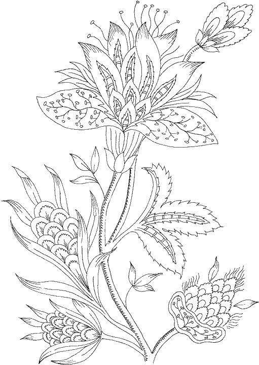 Coloring Flower uzorchikami. Category Flowers. Tags:  flowers, plants, flower, uzorchiki, pattern.