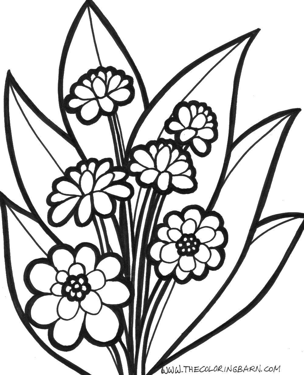 Coloring Flowers and grass. Category Flowers. Tags:  Flowers.
