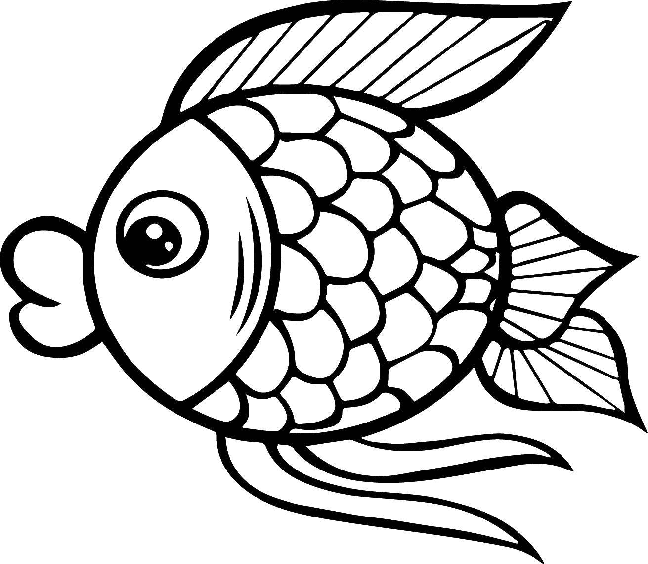 Название: Раскраска Золотая рыбка. Категория: Рыбы. Теги: рыбки, золотые рыбки, морские обитатели.