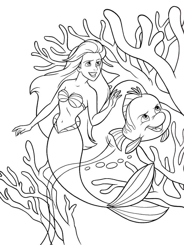 Coloring Ariel with flounder in search of adventure. Category The little mermaid. Tags:  Ariel, mermaid.