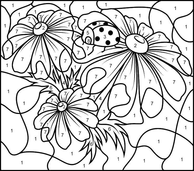 Coloring Ladybug and flowers. Category That number. Tags:  ladybug, flowers, numbers.