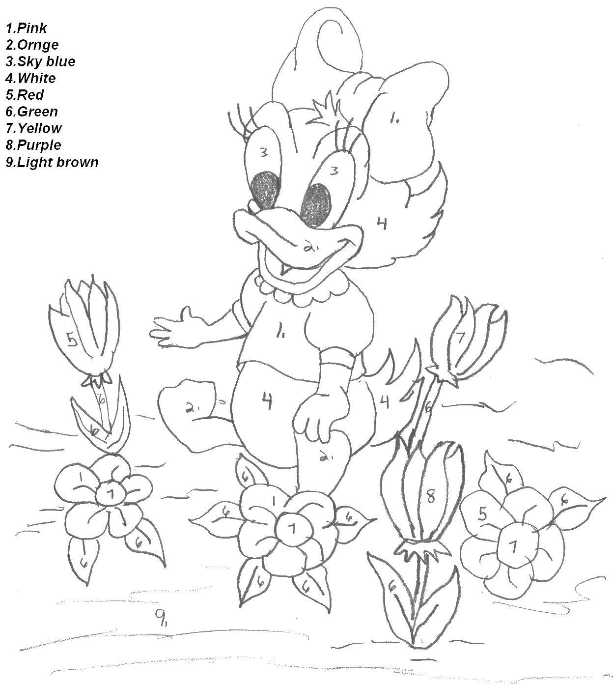 Coloring Daisy duck in childhood. Category coloring by numbers. Tags:  Daisy, paint-by-number.