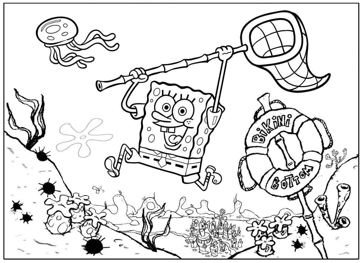 Coloring Spongebob Squarepants hunting jellyfish. Category Spongebob. Tags:  Cartoon character, spongebob, spongebob.