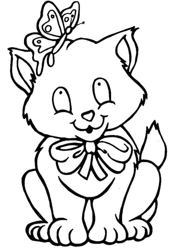 Coloring Kitty with butterfly. Category Butterfly. Tags:  butterflies, cats, cartoons.