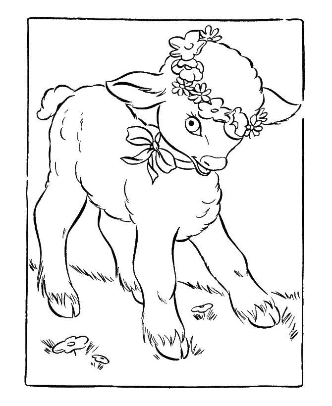 Coloring Goat and wreath of flowers. Category Pets allowed. Tags:  Billy goat, flowers, grass.