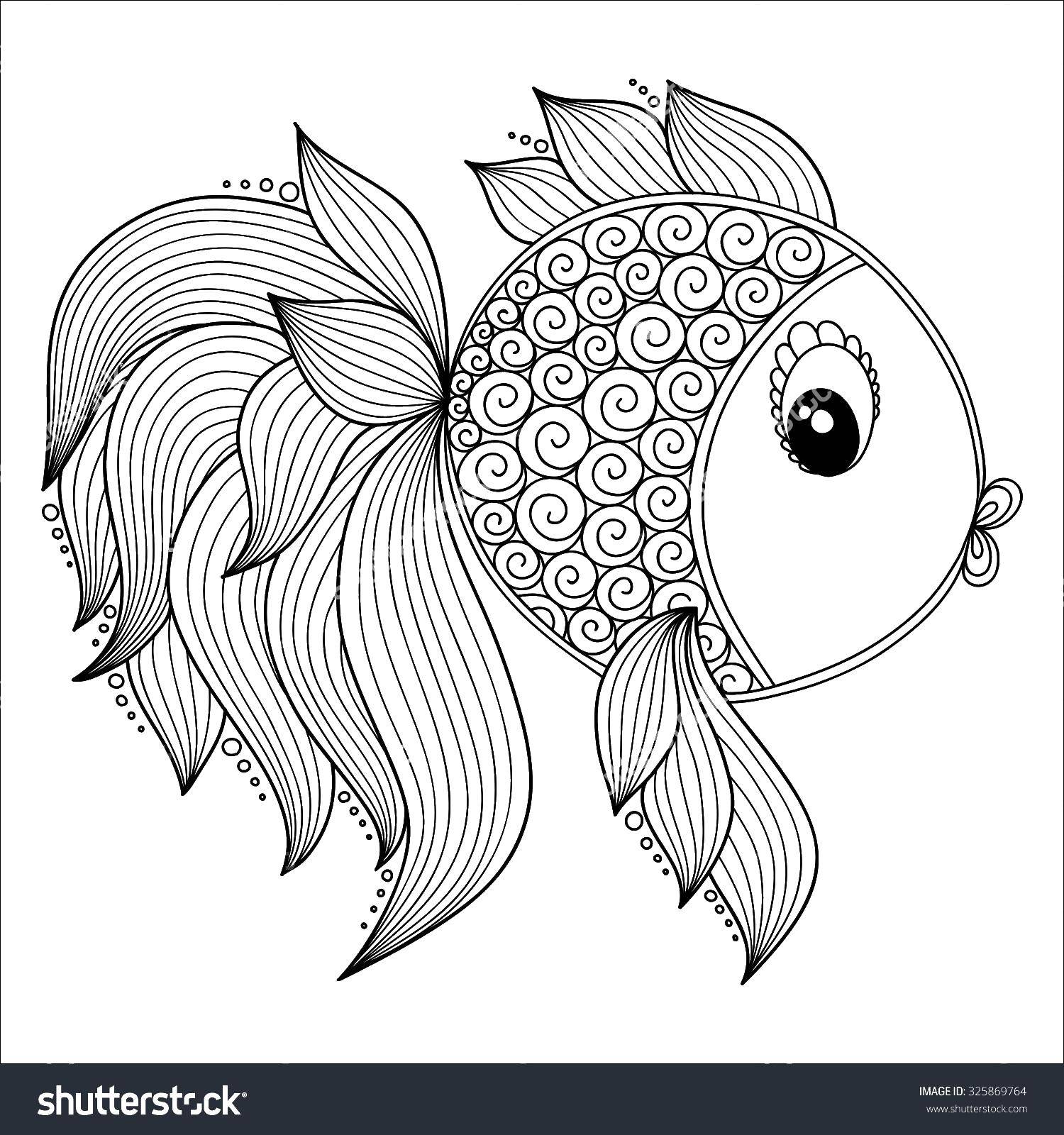 Название: Раскраска Красивая рыбка с пышным хвостом. Категория: Рыбы. Теги: рыбы, хвост, рыбки.
