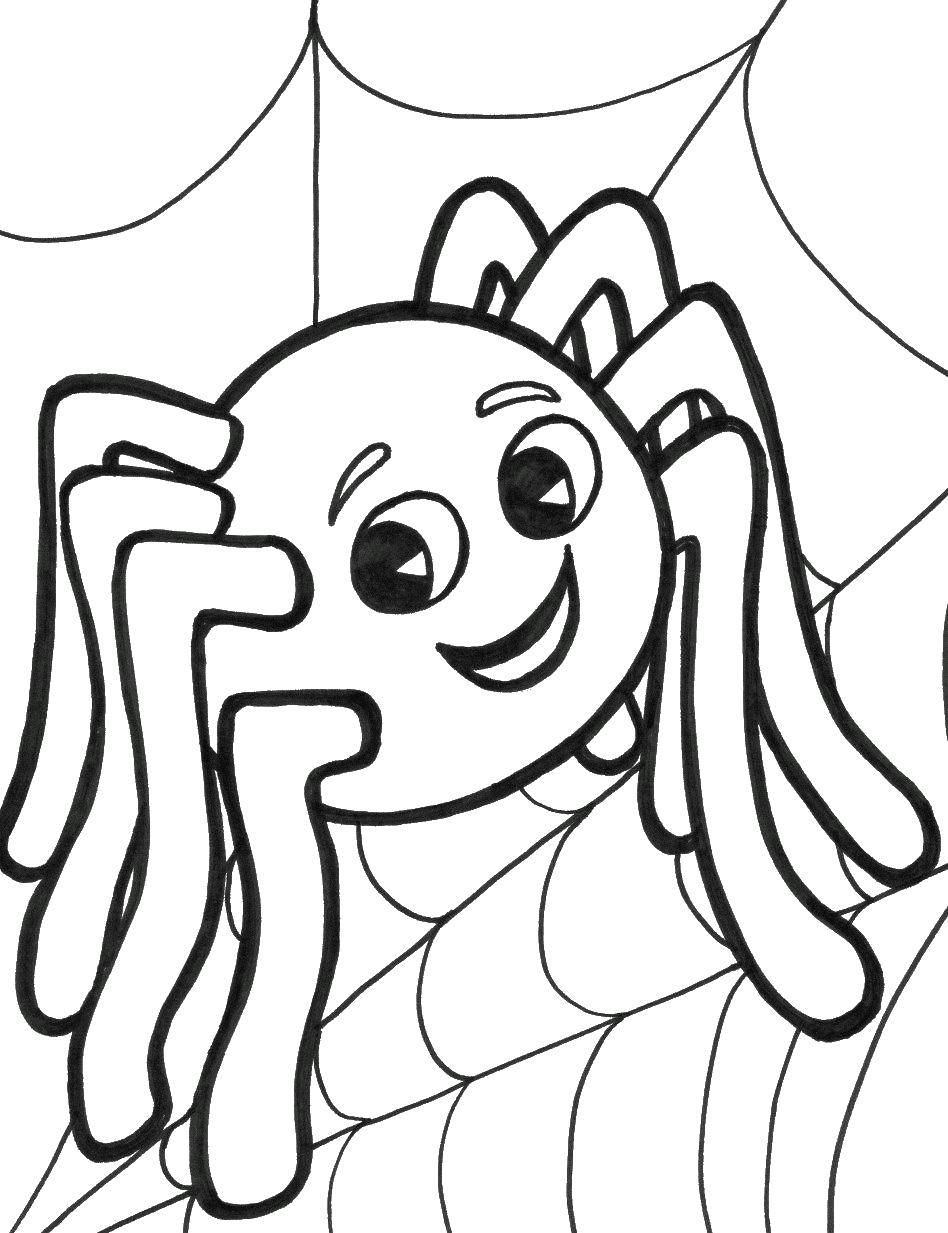 Название: Раскраска Линси паучок. Категория: Насекомые. Теги: паук, паутина.
