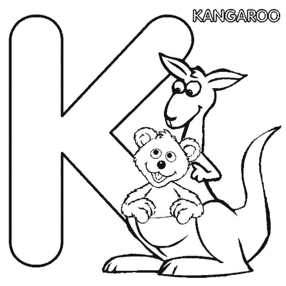 Coloring Bear hid in the kangaroo pocket. Category English alphabet. Tags:  kangaroo, kangaroo.