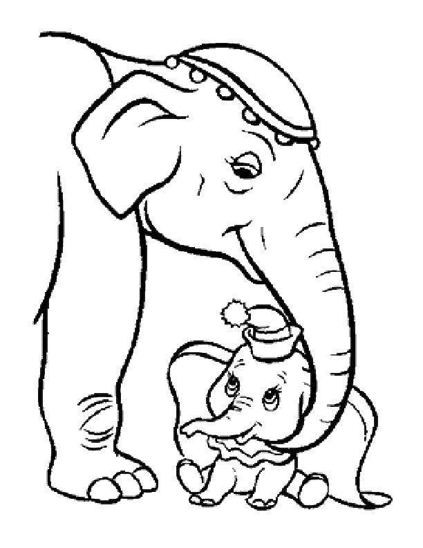 Название: Раскраска Слониха со слоненком. Категория: детеныши животных. Теги: животные, слоны.