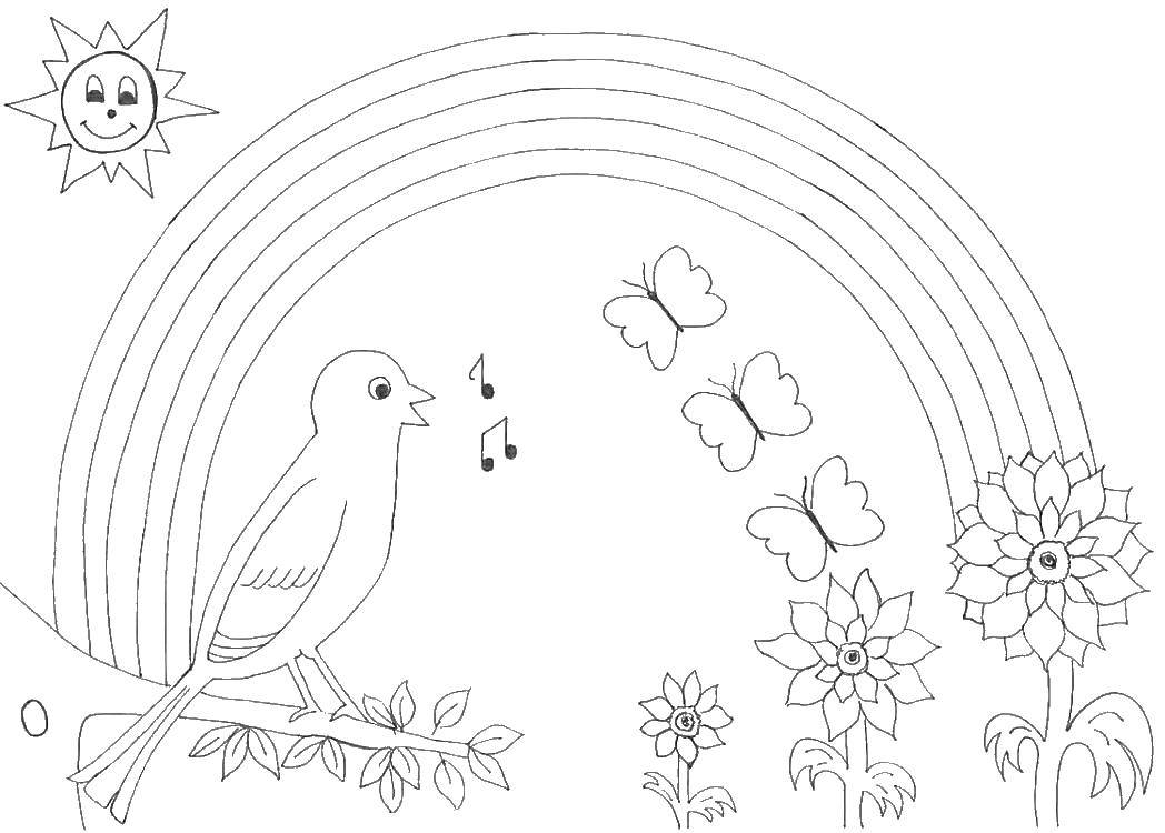 Coloring The Nightingale sings. Category birds. Tags:  the birds, the Nightingale.