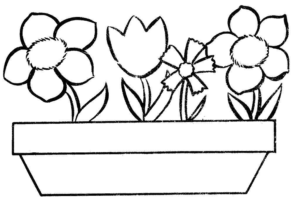 Coloring Flowers in a pot. Category Flowers. Tags:  Flowers, flower pots.
